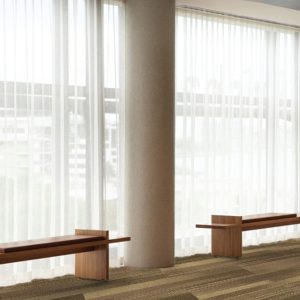 RADIUS RUST